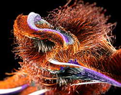 Валютный рынок, Daily history за 21 октября 2025 г.