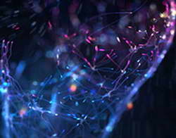 Акинфеев о Черчесове: «Очень нравился в «Спартаке». Работать с ним было на удивление легко – внутри он оказался совершенно не таким, как на публике, даже намека на диктатуру не было»