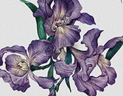 Валютный рынок, Daily history за 17 ноября 2025 г.